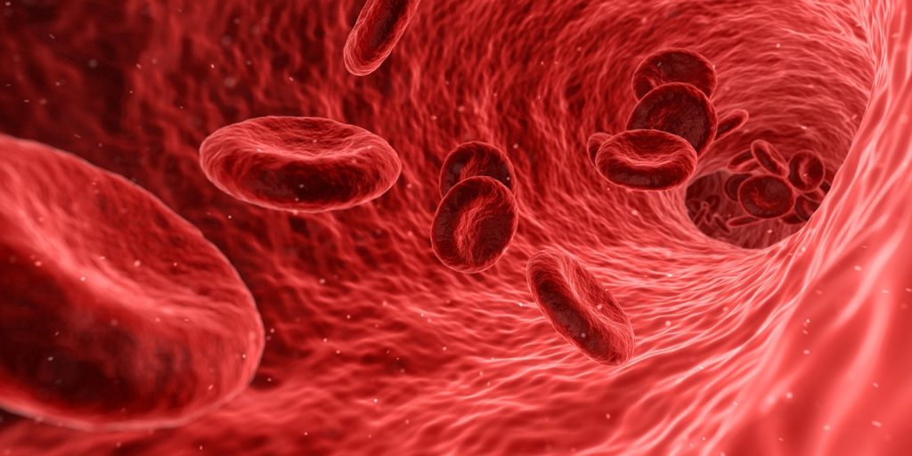 blood in arteries