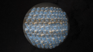 cartoon of lots of earths inside jupiter
