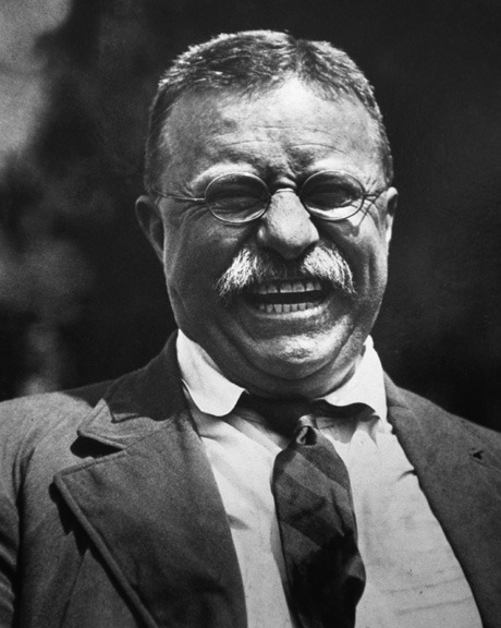 picture of president teddy roosevelt