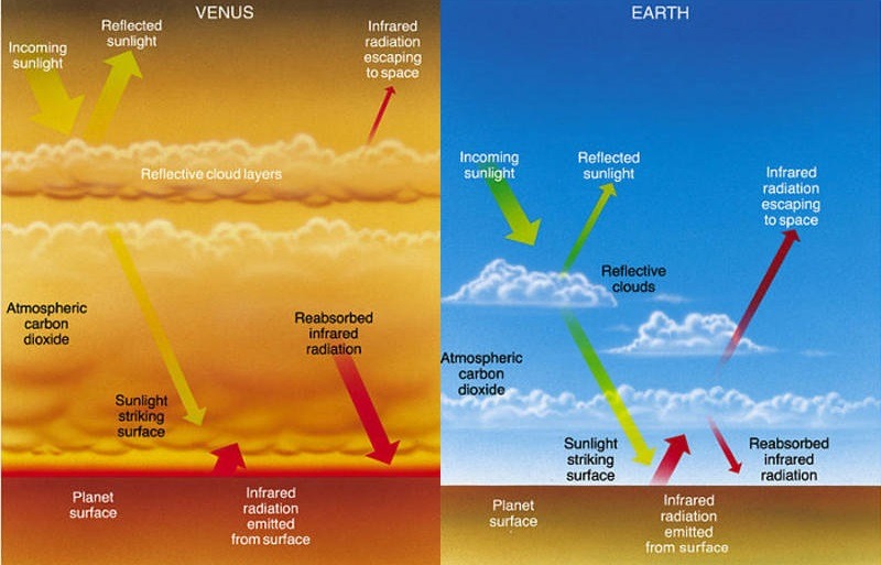 Comparison of greenhouse gas effects on Earth and Venus