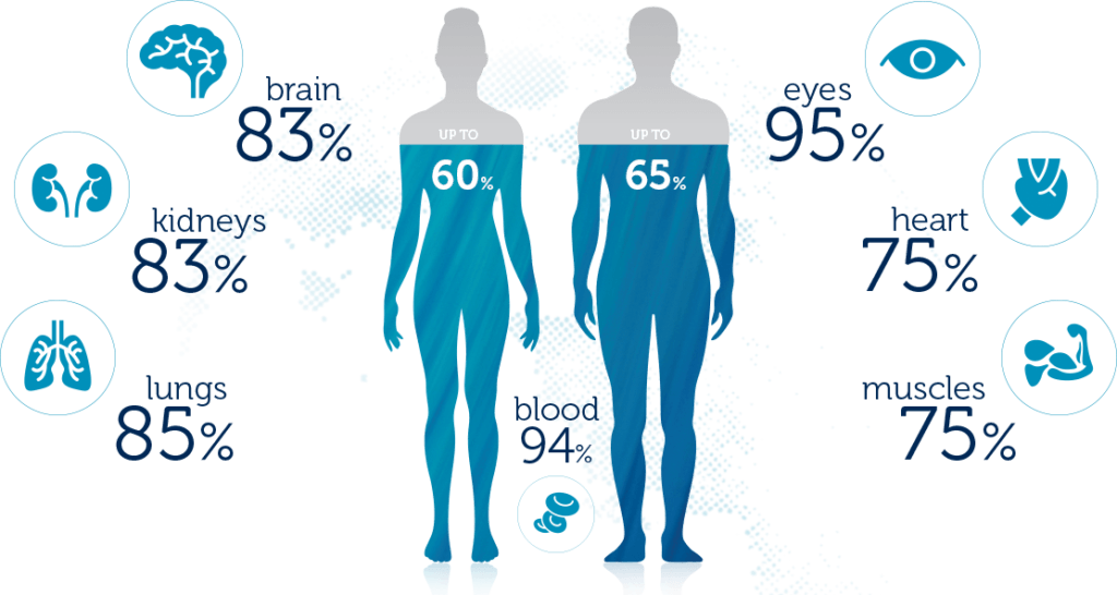 amount of water inside the body